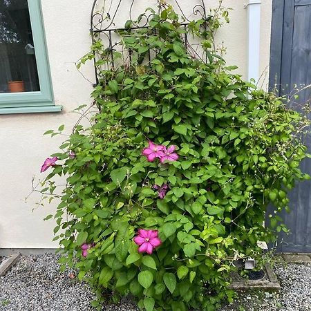 Rural Cosy Retreat For Two Near Port Isaac Appartement Delabole Buitenkant foto