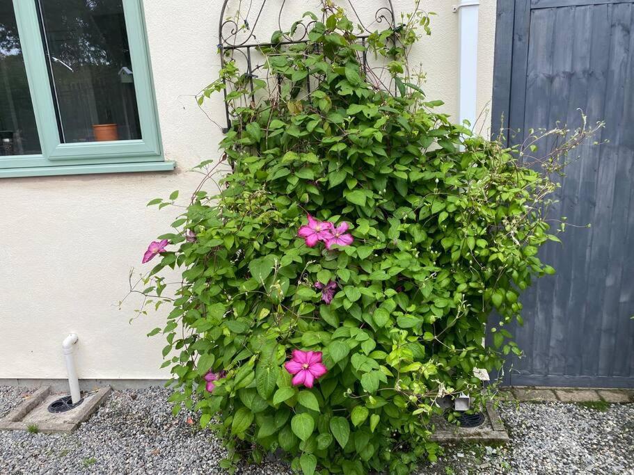 Rural Cosy Retreat For Two Near Port Isaac Appartement Delabole Buitenkant foto